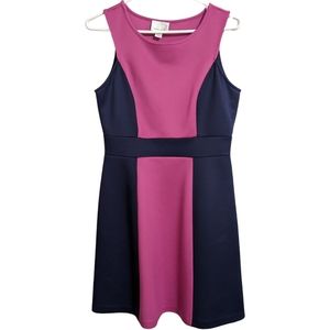 Donna Morgan Pink & Navy Blue Dress 4